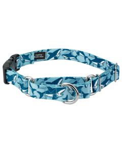 Sharks Martingale Dog Collar with Deluxe Buckle