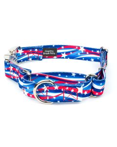 Star Spangled Martingale With Premium Buckle Dog Collar