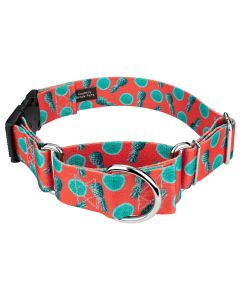 1 1/2 Inch Tropical Tango Martingale With Deluxe Buckle Limited Edition