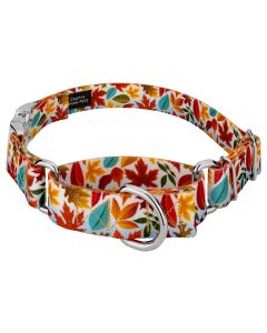 Brisk Autumn Martingale with Premium Buckle Collar