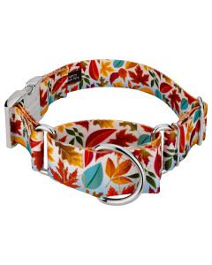 1 1/2 Inch Brisk Autumn Martingale with Premium Buckle