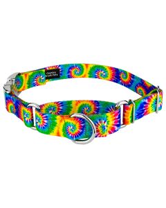 Classic Tie Dye Martingale Dog Collar with Premium Buckle