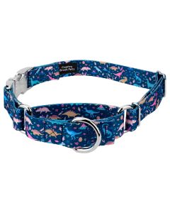 Dinosaurs Martingale Dog Collar with Premium Buckle