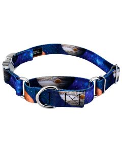 Galactic Neighbors Martingale with Premium Buckle