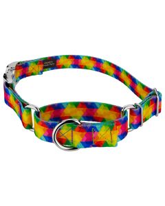 Kaleidoscope Martingale Dog Collar with Premium Buckle