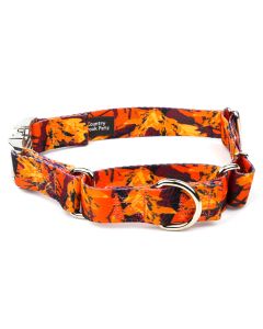 Orange Sunset Camo Martingale Dog Collar with Premium Buckle