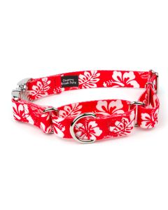 Red Hawaiian Martingale with Premium Buckle