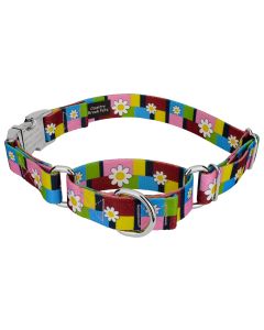 Spring Daisies Martingale Dog Collar with Premium Buckle