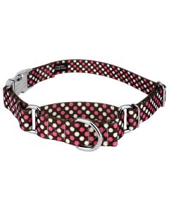 Shibuya Martingale with Premium Buckle Dog Collar