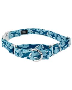 Sharks Martingale Dog Collar with Premium Buckle