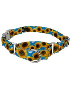 Sunflowers Martingale Dog Collar with Premium Buckle