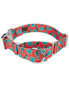 1 1/2 Inch Tropical Tango Martingale With Premium Buckle Limited Edition