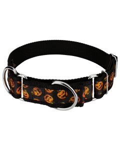 Happy Jack Exclusive Martingale Dog Collar