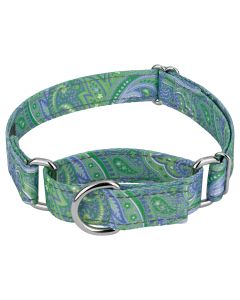 Green Paisley Reflective Martingale Dog Collar