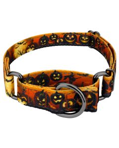 Midnight Fright Reflective Gunmetal Martingale Dog Collar