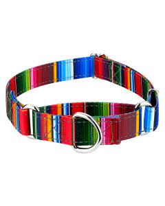 Serape Reflective Martingale Dog Collar