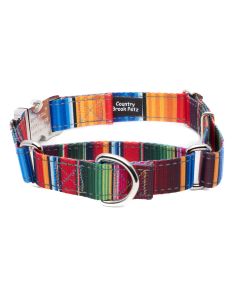 Serape Reflective Martingale Dog Collar with Premium Buckle