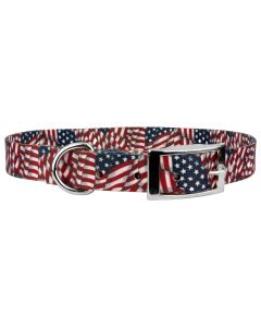 Patriotic Tribute Traditional Dog Collar