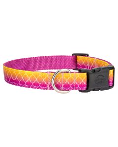 Deluxe Fabulous Ombre Ribbon Dog Collar