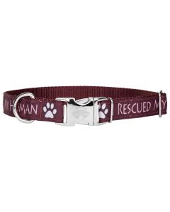 Premium I Rescued My Human Dog Collar Limited Edition