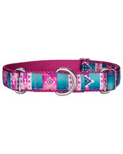 Albuquerque Ribbon Martingale Dog Collar