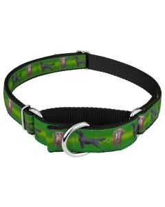 Flat Coated Retriever Ribbon Martingale Dog Collar