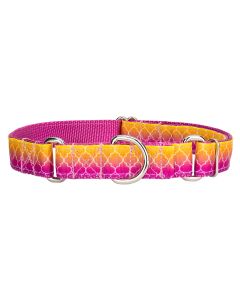 Fabulous Ombre Ribbon Martingale Dog Collar