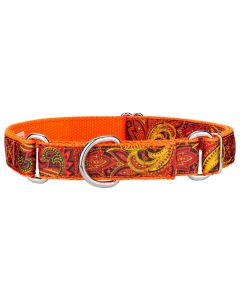 Fire Paisley Ribbon on Neon Orange Martingale Dog Collar