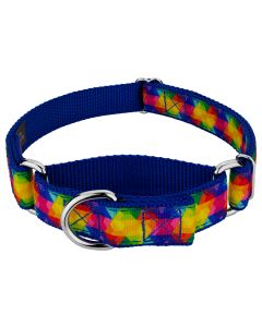 Kaleidoscope Ribbon Martingale Dog Collar