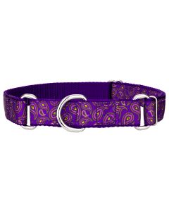 Purple Paisley Ribbon Martingale Dog Collar