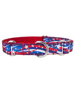 Star Spangled Ribbon Martingale Collar