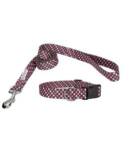 Shibuya Deluxe Collar and Leash Limited Edition 