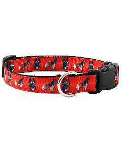 Deluxe Belgian Tervuren Ribbon Dog Collar Limited Edition