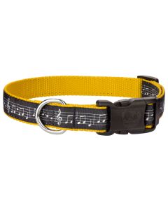 Deluxe Sheet Music on Gold Ribbon Dog Collar