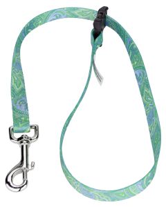 5/8 Inch Green Paisley Grooming Loop with Quick Release Buckle