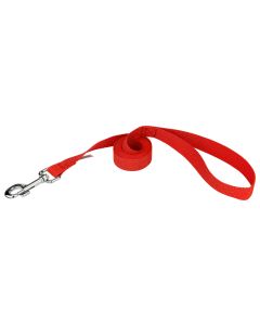 1 Inch Heavy Polypropylene Dog Leash - Red