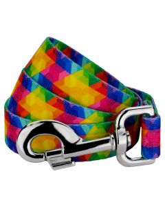 Kaleidoscope Dog Leash