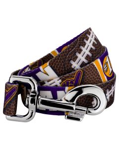 Purple and Gold Football Fan Dog Leash