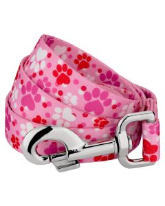 Puppy Love Dog Leash