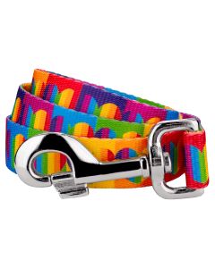 Rainbow Hearts Dog Leash