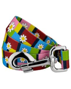 Spring Daisies Dog Leash