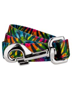 Tie Dye Stripes Dog Leash