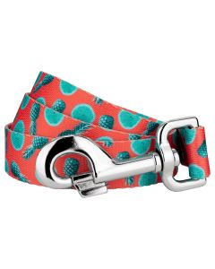 Tropical Tango Dog Leash