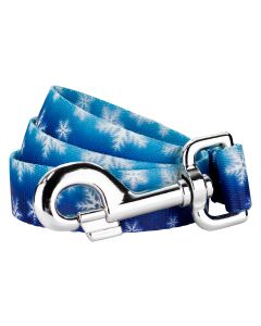 Winter Wonderland Dog Leash