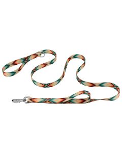 Deluxe Cheyenne Arrows Dog Leash