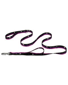 Deluxe Heavenly Space Dog Leash