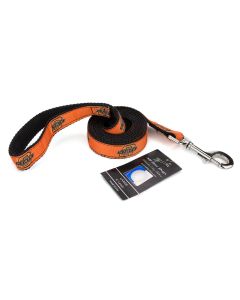 Oklahoma State Cowboys Ribbon Dog Leash