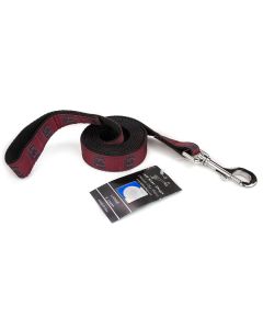 South Carolina Gamecocks Ribbon Dog Leash