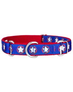 American Star Ribbon Martingale Dog Collar