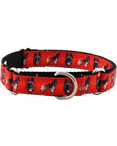 Belgian Tervuren Ribbon Martingale Dog Collar Closeout